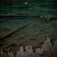 Ardent