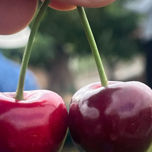 Camp Out Festival - Naantaali