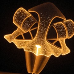follow my light