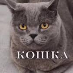 Dove(Doll Ver) но певец ебнутая КОШКА