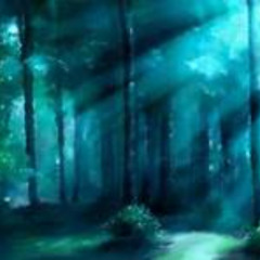 DarkForest