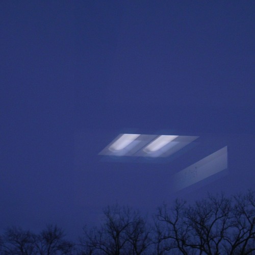 rumination cycle [dv_022]