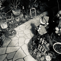 1999(cover)/羊文学