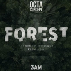 RALPIX - OCTACONCEPT FOREST Contest 2025