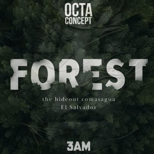 RALPIX - OCTACONCEPT FOREST Contest 2025