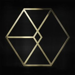 EXO - Transformer