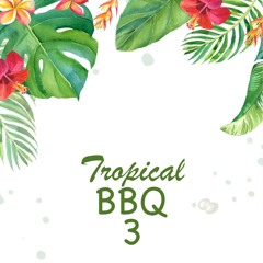 Tropical BBQ 3
