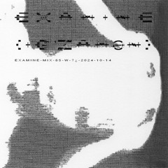 examine-mix-85-w-?¿-2024-10-14