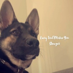 Every Trial Makes You Stronger
