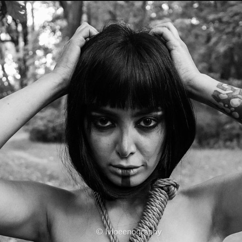 maya jaallam