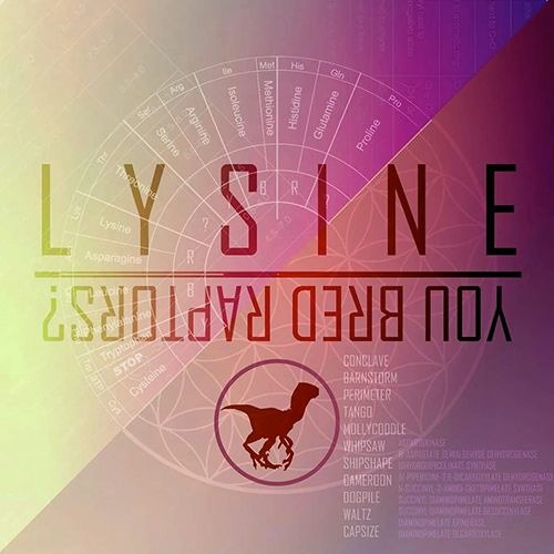 Lysine (Unreleased)