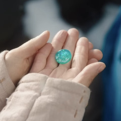 헌정연서