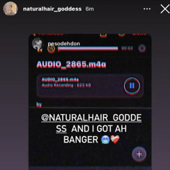 Voice notes (kitty vocals) snippet