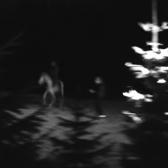 HORSEY MIX #1 (CHRISTMAS MIX)