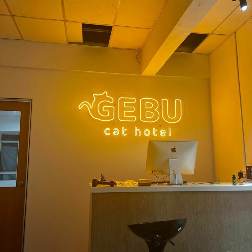 Gebu Cat Hotel - Dream In Gebu Cat Hotel [Nighturnal Goofy Ahh Remix]
