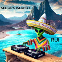 Señor's Island 1 - Afro/Tech Waves