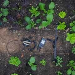 Watering Winter Salad