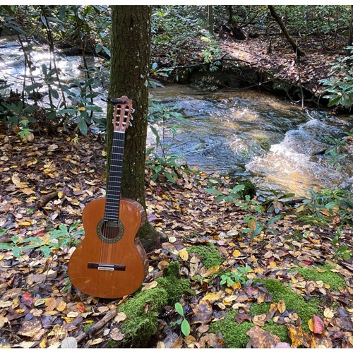 Psalm 51 Song
