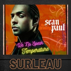 We No Speak Americano x Temperature (Surleau Mashup) - Sean Paul x Yolanda Be Cool ft. DCUP