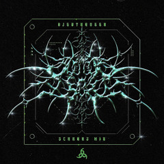Schranz Mix