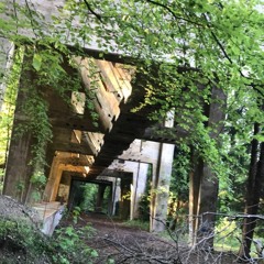 Es Knallt Im Wald 2020 //Teil 1//NiBo. Techno. @secretfabrik//LostPlacesRave