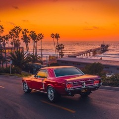 🌅