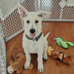 Mila J - Kickin' Back/I'm Good? (Manduman Remix) [Unofficial]