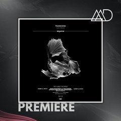 PREMIERE: Alex Preda - Transcend (Original Mix) [sequence Music]