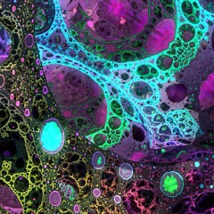 Sweet Disposition (Trippy Everything Remix)