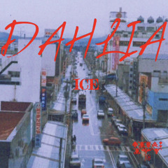 DAHLIA