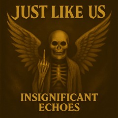 Insignificant Echoes
