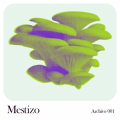 Mestizo - Archivo 001