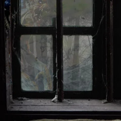 who the hell is at my window