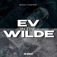 Ev Wilde - Im In Control (Radio Edit)