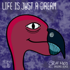 Steve Knots - Life Is Just A Dream - AmuAmu Remix