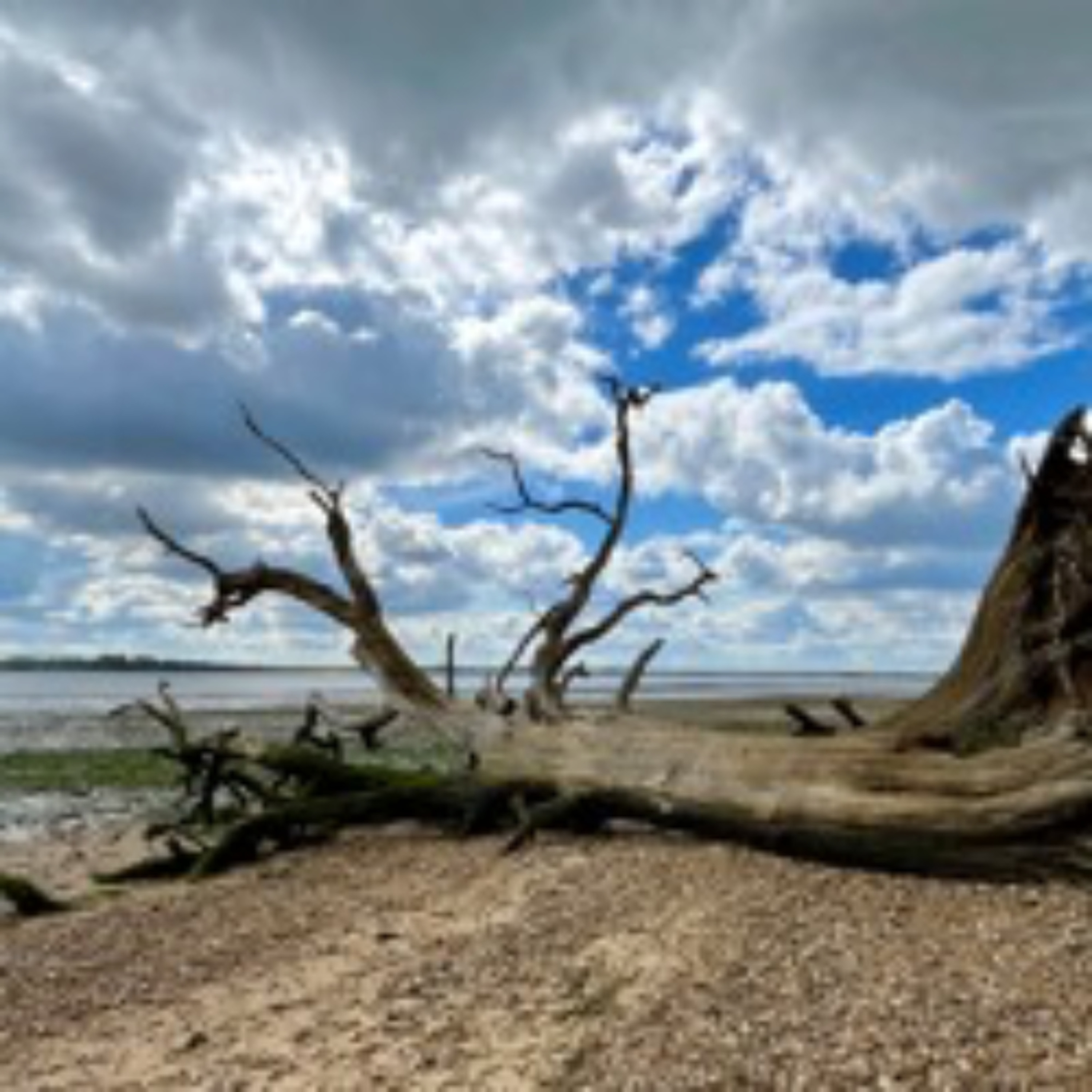A Windy Holbrook Creek, Wednesday 17th April 2024 episode artwork