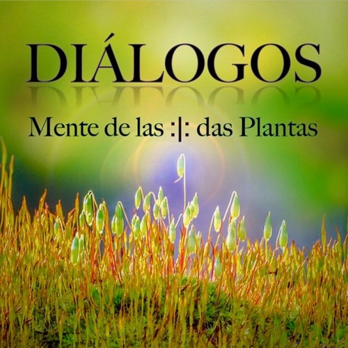 DIÁLOGOS (2021) Eucalyptus, Monica Gagliano, Briony Luttrell and Leah Barclay