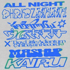 all night(phritz, hirihiri, Amane Uyama & Kabanagu) × Tiny Little Adiantum (ShibayanRecords) MASHUP