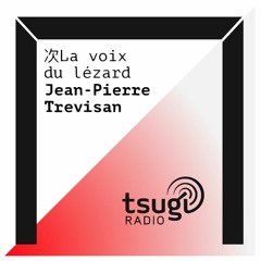 [DJ SET] La voix du lézard (Novembre 2020)