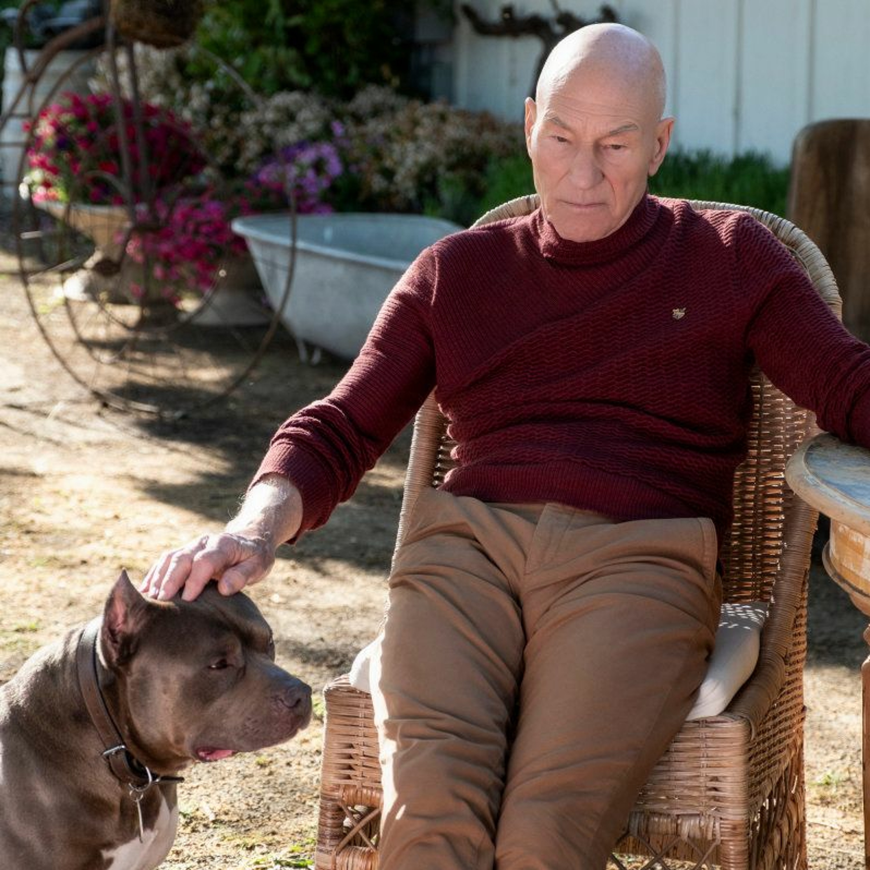 START TREK -  Star Trek: Picard "Remembrance"
