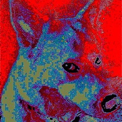 so clean (prod. Lil Biscuit)