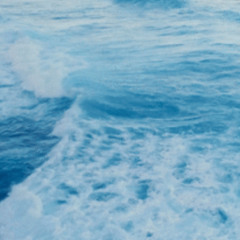 sailboats n cypresses