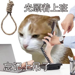 glorp72.5