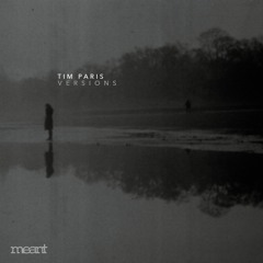 Tim Paris - Version C ft. Telemark (Original Mix)