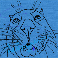 Just When The Time Is Right