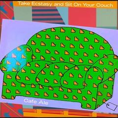 Take Ecstasy and Sit On Your Couch
