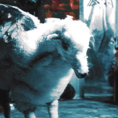 i’m like a lawyer (fall out boy cover) (prod. uglyboy)