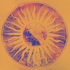 Tsott - Ascend EP • Previews [TSTT001]