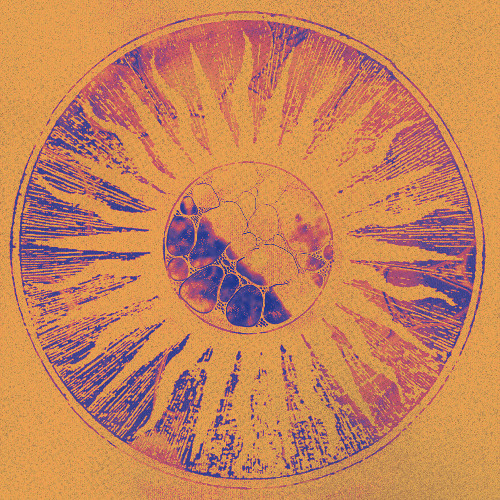 Tsott - Ascend EP • Previews [TSTT001]