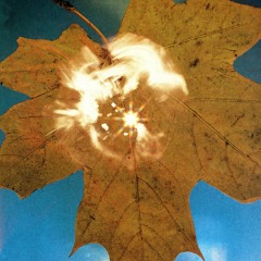 Soyuz Album of the week